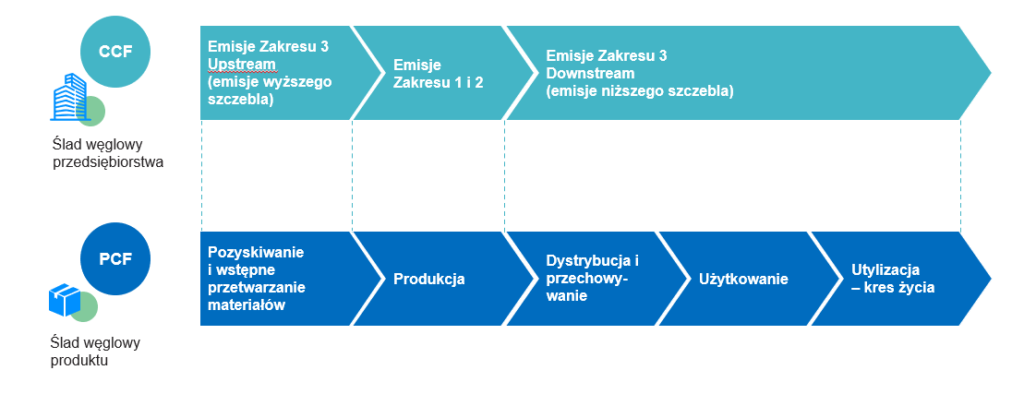 ślad węglowy firmy i produktu